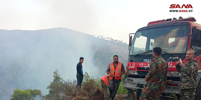 Los bomberos controlan un gran incendio forestal en provincia de Latakia (+ fotos)