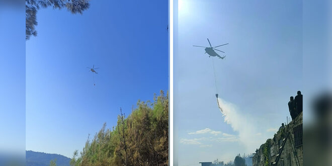 Los bomberos luchan contra el peor incendio forestal este año en Latakia