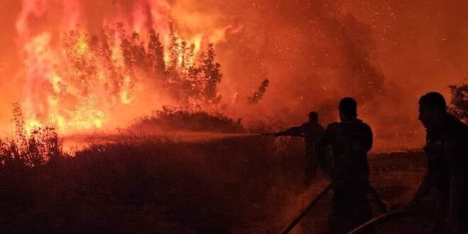 Los bomberos luchan contra el peor incendio forestal este año en Latakia