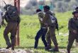 دستگیری 12 فلسطینی در کرانه باختری