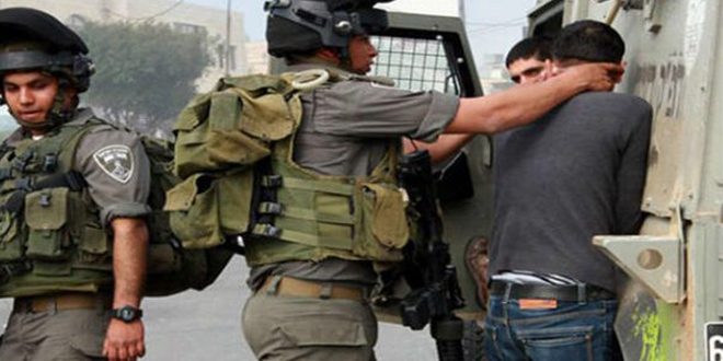 دستگیری یک فلسطینی در جنین