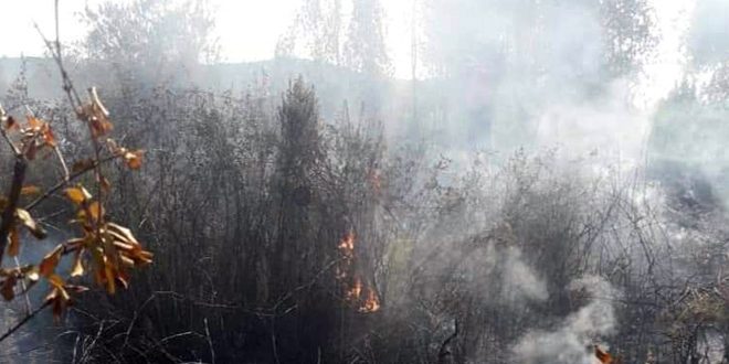 اطفای یک آتش سوزی در حومه شهر لاذقیه ناشی از سقوط خمپاره شلیک شده توسط گروه های تروریستی