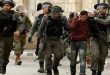 بازداشت 10 فلسطینی در جنوب الخلیل 