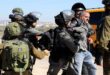 دستگیری 10 فلسطینی در کرانه باختری توسط نيروهای اشغالگر