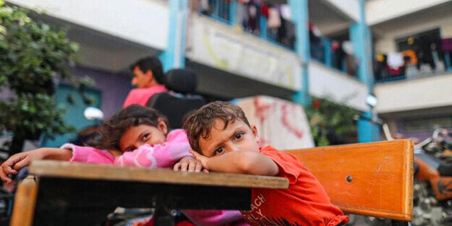 وزارت آموزش و پرورش فلسطین: شهادت 9241 دانش آموز از آغاز تجاوزات اشغالگران به نوار غزه