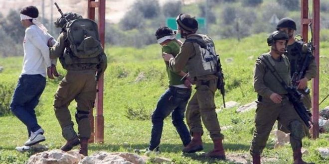 Les forces d’occupation arrêtent 8 palestiniens en Cisjordanie                                          