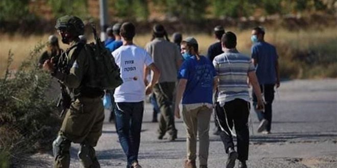 כוחות הכיבוש עצרו צעיר פלסטיני מעיר אלקודס הכבושה