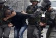 כוחות הכיבוש עצרו 12 פלסטינים בגדה המערבית