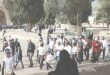 עשרות מתנחלים פורצים למסגד אל-אקצא