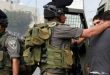 כוחות הכיבוש עצרו פלסטיני אחד בעיר טול כרם