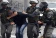 כוחות הכיבוש עצרו 7 פלסטינים בגדה המערבית