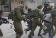 כוחות הכיבוש עצרו פלסטיני אחד בטופאס