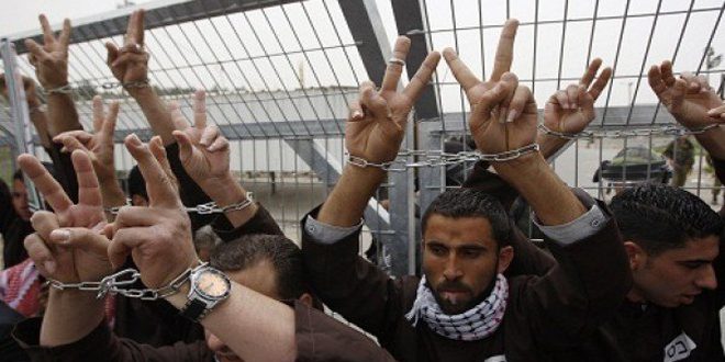 התנועה הלאומית הפלסטינית האסירה: האסירים רשמו ניצחון חדש על הכובש