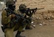 7 פלסטינים נפצעו ו-14 אחרים נעצרו על ידי הכוחות הישראלים בגדה המערבית