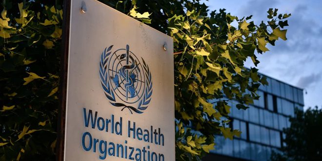 ארגון הבריאות העולמי מזהיר מפני עונת הדנגי הגרועה ביותר באמריקה הלטינית