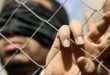 ועדת ענייני האסירים : הפלסטינים בבית מעצר מג’ידו הישראלי סובלים ממצב קצטרופלי
