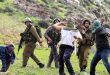 האו”ם קורא לכיבוש להפסיק תמיכה בהתקפות המתנחלים נגד הפלסטינים בגדה