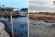Удаление нефтяных пятен на пляже Джеблы