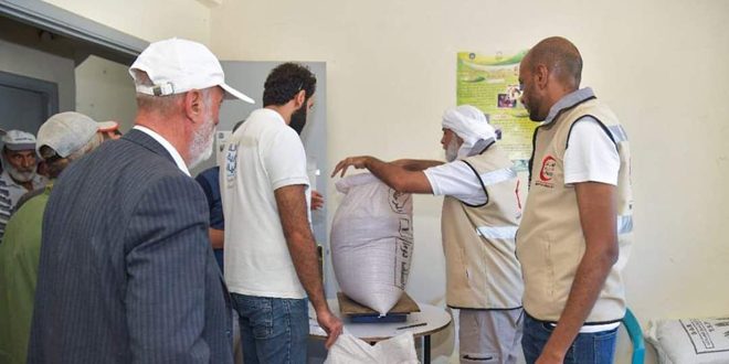 Сирийский фонд развития произвел раздачу семян пшеницы и удобрений в ряде селений провинции Латакия