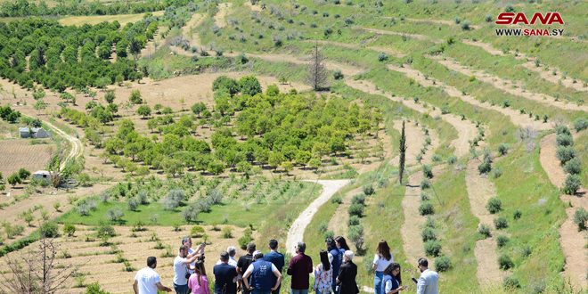 Suriye Kalkınma Vakfı Kampanyası, Lazkiye Kırsalındaki Tarım Arazilerine Hayat Veriyor