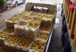 السورية للتجارة في طرطوس تستجر 80 طناً من الحمضيات خلال يومين