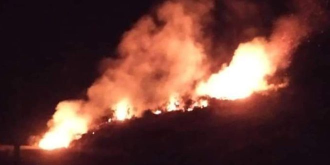 حريق في أحراج قرية بيت الجبل بريف طرطوس وفرق الإطفاء تتعامل معه