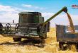 حصاد أكثر من 62 ألف هكتار من محصول القمح في درعا