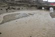 الأمطار الغزيرة تسبب أضراراً نسبية في الأراضي الزراعية بدير الزور