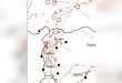المركز الوطني للزلازل: تسجيل هزة أرضية بقوة 4.3 درجات شمال غرب حلب