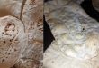 تنظيم مخالفات في عمل مخبزين وتغريم معتمدين للخبز في درعا