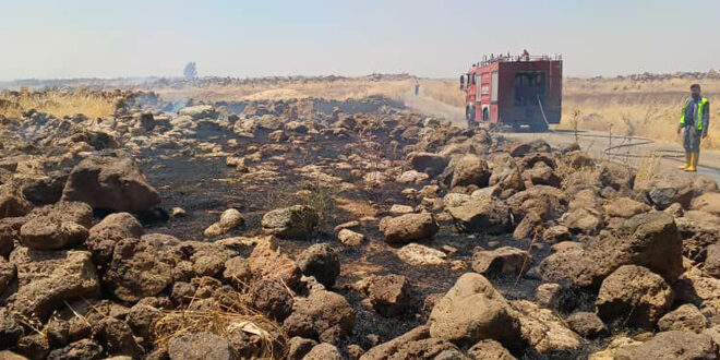 السويداء: تضرر نحو 150 دونماً من الأشجار جراء حريق قرب قرية سليم